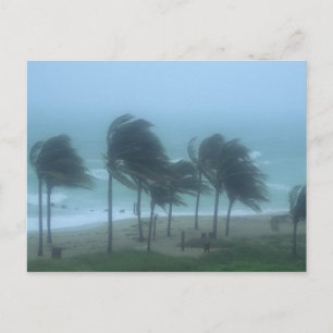 Miami Beach, Florida, Hurrikanwinde peitschen Postkarte
