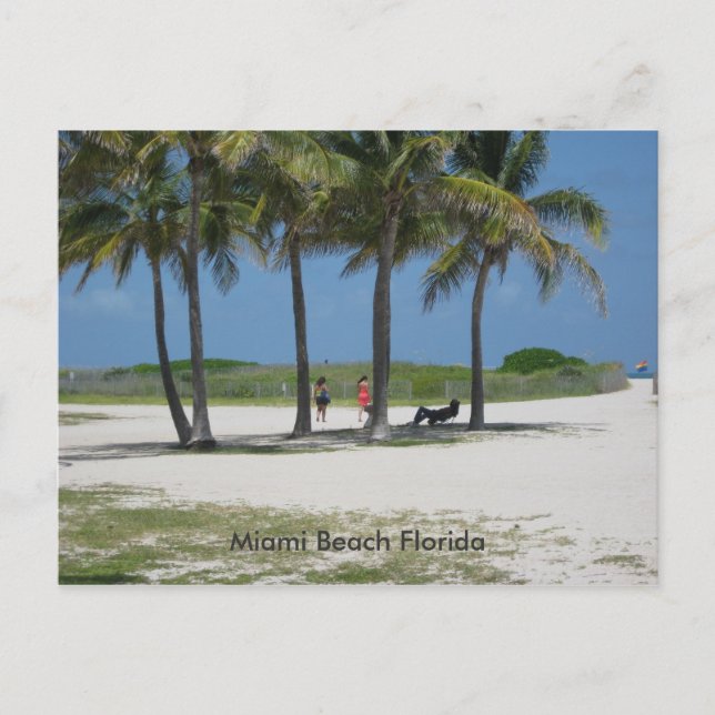 Miami Beach Florida Postkarte (Vorderseite)