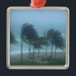Miami Beach, Florida, Wirbelstürme Ornament Aus Metall<br><div class="desc">Miami Beach,  Florida,  Wirbelstürme winden Palmen entlang des Strandes � Alan Klehr / DanitaDelimont.com</div>