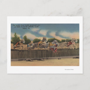 Miami, FL - Greyhound Dog Race im Kennel Club Postkarte