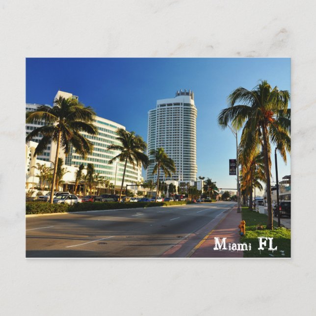 Miami FL Postkarte (Vorderseite)