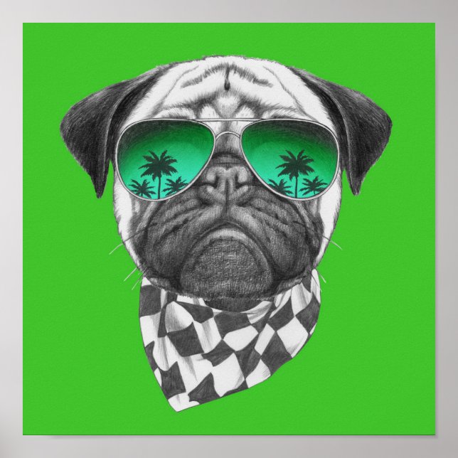 Miami Mops Poster (Vorne)