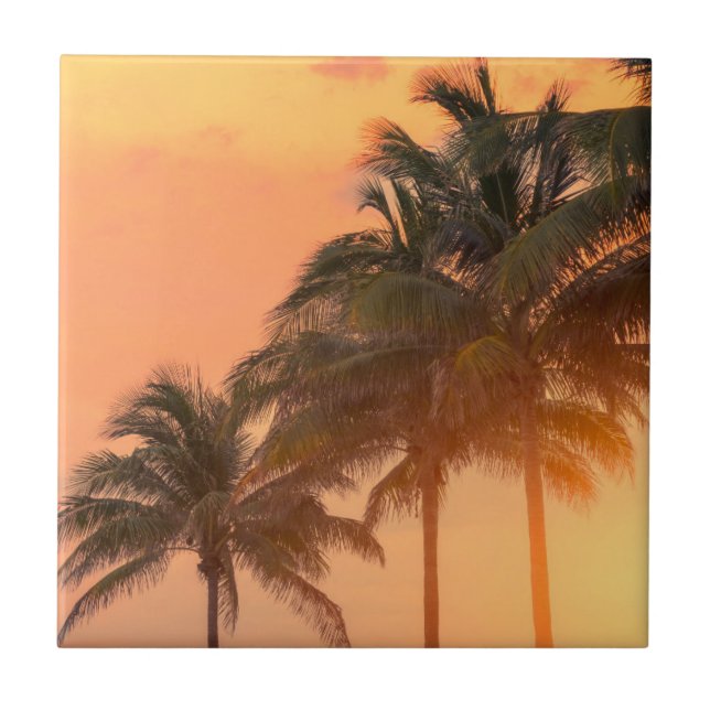 Miami-Palmen Fliese (Vorderseite)