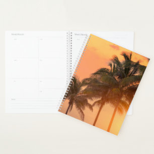 Miami Palms Planer