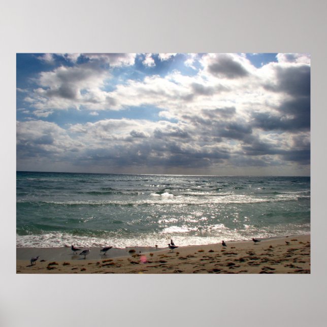 Miami Poster (Vorne)