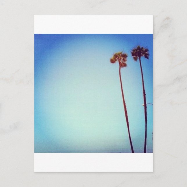 Miami Postkarte (Vorderseite)