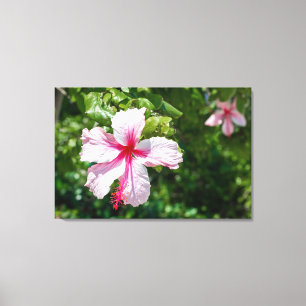 Miami Rosa Hibiskus Tropische Blütenblüte Leinwanddruck
