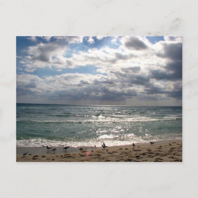 Miami Series Postkarte (Vorderseite)