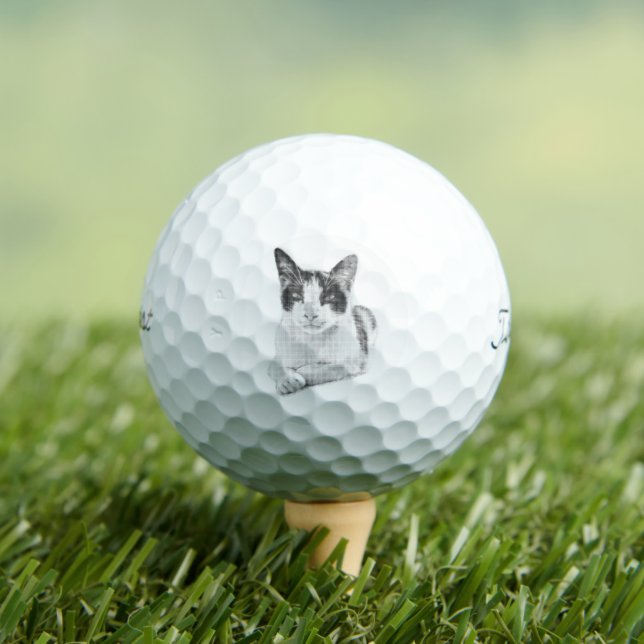 Miau-Halfton Golfball (Insitu T-Shirt)