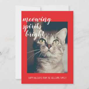 Miauende Geister erhellen das Katzenfoto-Fest Feiertagskarte