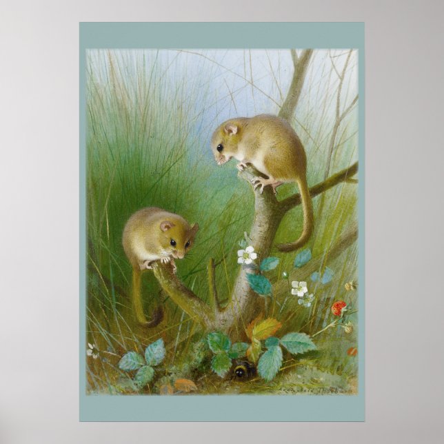 Mice CC0123 Poster de la chambre pour enfants (Devant)