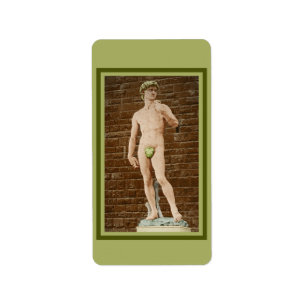 MICHELANGELO DAVID MIT ABSCHNITTLEAF ADRESSAUFKLEBER