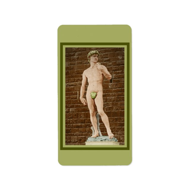MICHELANGELO DAVID MIT ABSCHNITTLEAF ADRESSAUFKLEBER (Vorne)