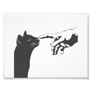 Michelangelo Katze - Wählen Sie die Hintergrundfa Fotodruck