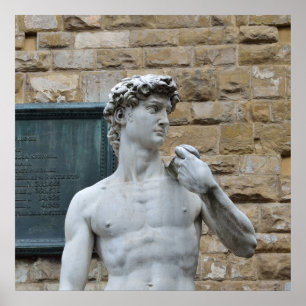 Michelangelo’s David Poster