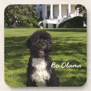 Michele & Bo Obama Getränkeuntersetzer