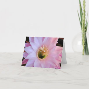 Michelle-Kakteen-Blume Dankeskarte