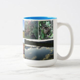 Michias Tasse