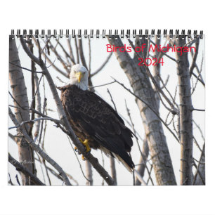 Michigan Birds 2024 Kalender