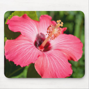 Michigan, Dearborn. Detail des rosa Hibiskus Mousepad