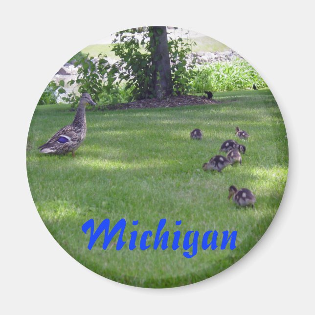 Michigan Ducklings Magnet (Vorne)