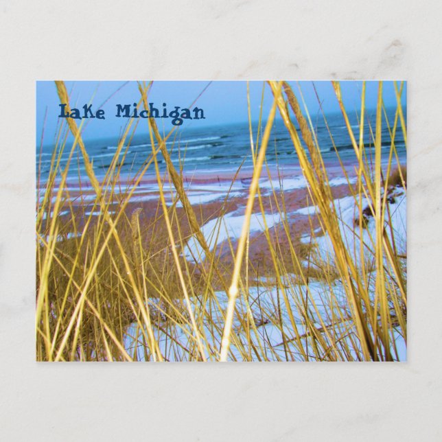 Michigan Dune Grass Post Card Postkarte (Vorderseite)