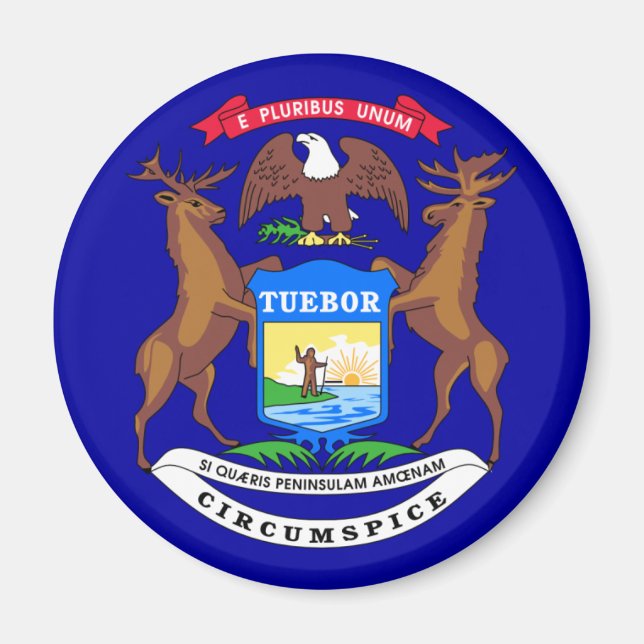 Michigan Flag Magnet (Vorne)