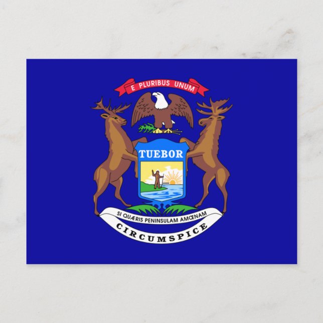 Michigan-Flagge Postkarte (Vorderseite)