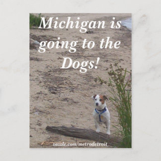 Michigan geht zu den Hunden! Postkarte
