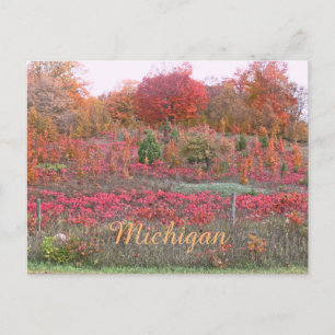 "MICHIGAN HILLSIDE AFLAME WITH FARBE" POSTKARTE