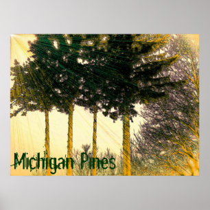 Michigan Kiefern Poster