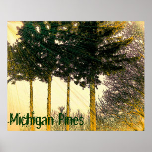Michigan Kiefern Poster