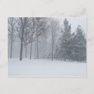 Michigan MI Winterschnee auf der Baumwelt Postkarte