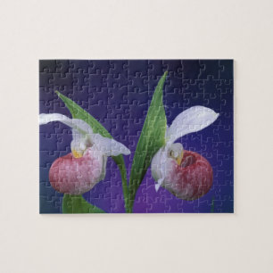 Michigan, Nationalpark auf der Halbinsel Bruce.Sch