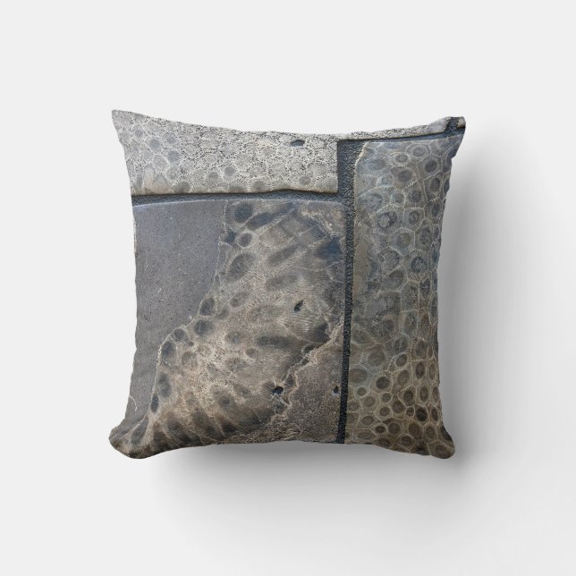 Michigan Petoskey Stone Design Kissen (Vorderseite)