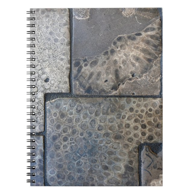 Michigan Petoskey Stone Notizblock (Vorderseite)