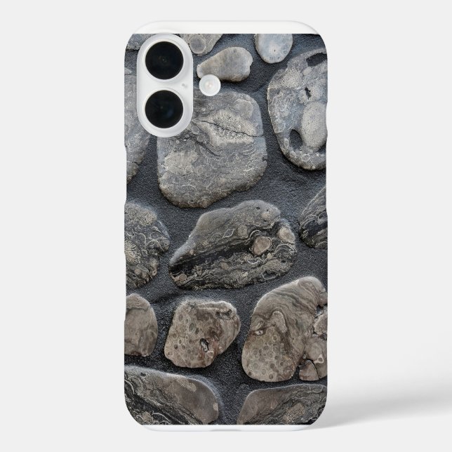 Michigan Petoskey Stones iPhone 16 Hülle (Rückseite)