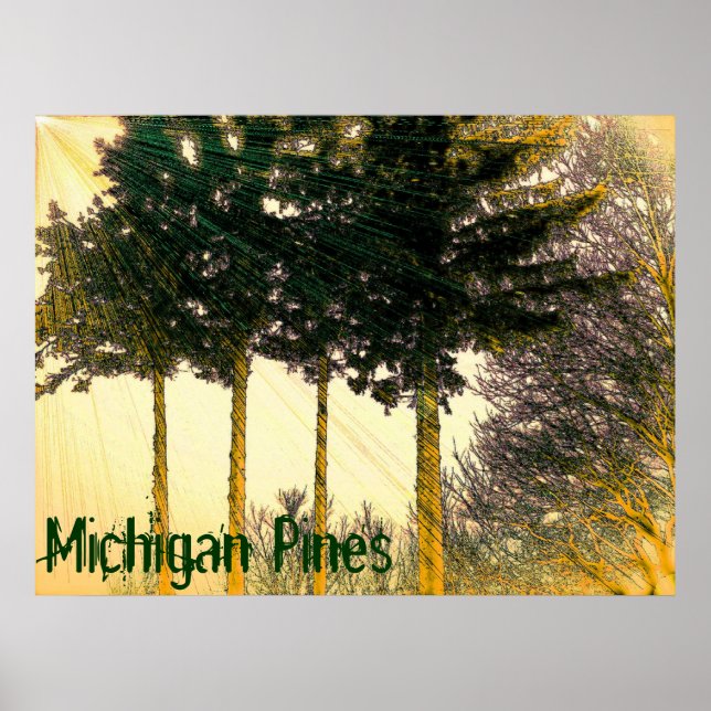 Michigan Pines Poster (Vorne)