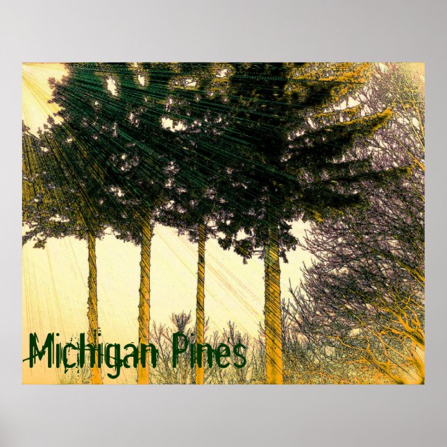 Michigan Pines Poster (Vorne)