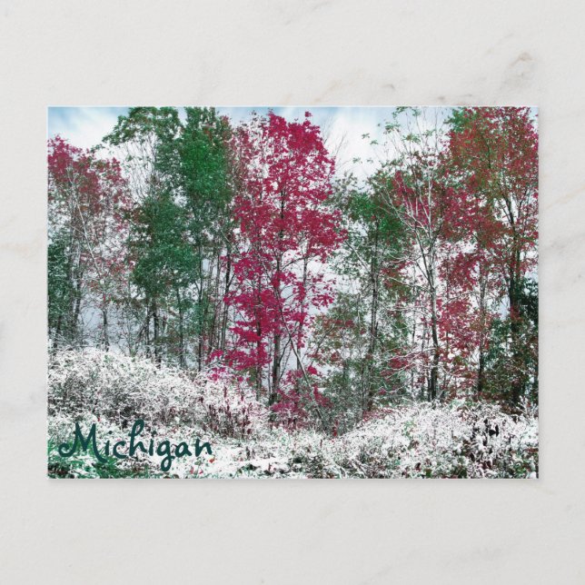 Michigan Postkarte (Vorderseite)