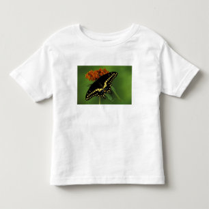 Michigan, Rochester. Amerikanischer Östlicher Schw Kleinkind T-shirt