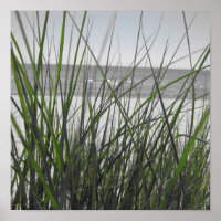Michigan-See hinter Gras