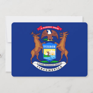 Michigan State Flag Design
