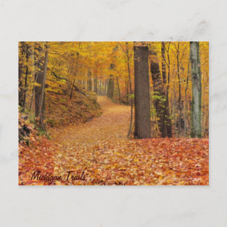 Michigan Trails Postkarte