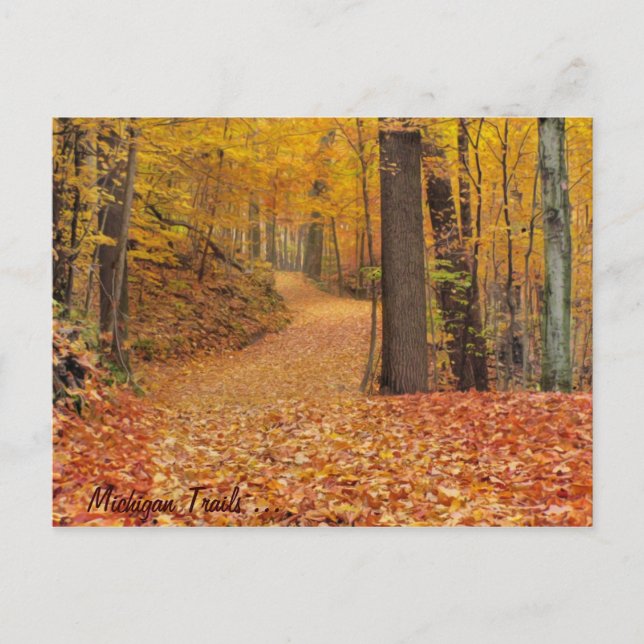 Michigan Trails Postkarte (Vorderseite)