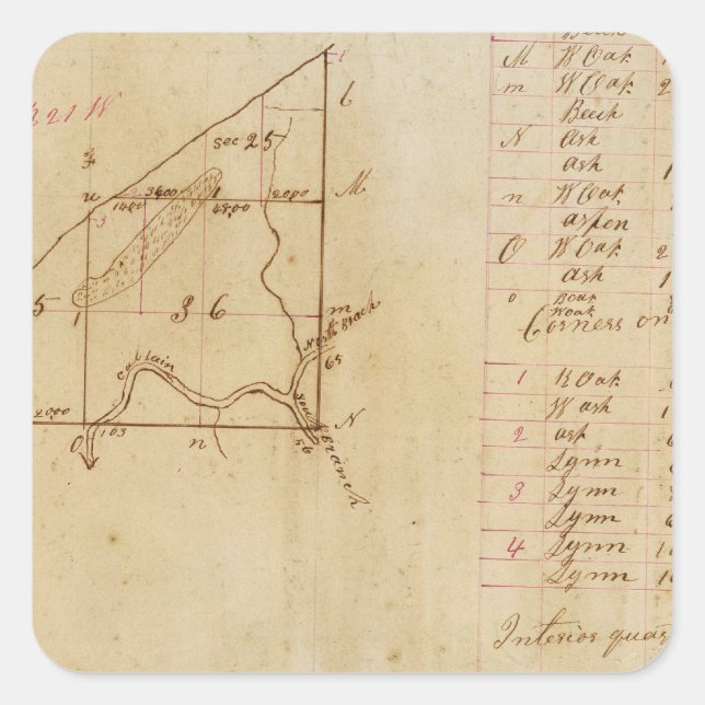 Michigan und Indiana Survey Quadratischer Aufkleber (Vorderseite)