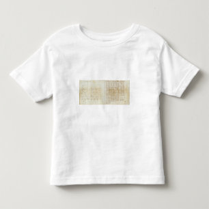 Michigan- und Indiana-Übersicht 3 Kleinkind T-shirt