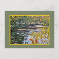 MICHIGAN ZEIGT IHRE FARBEN/HERBSTFARBEN VON POS