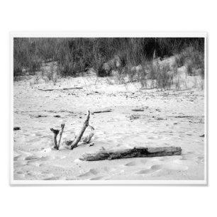 Michiganseestrandszene Fotodruck