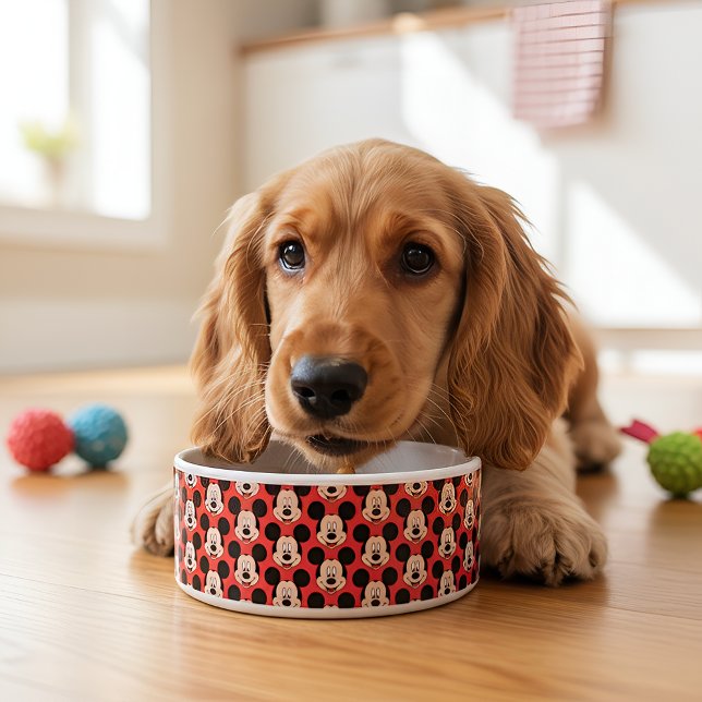 Micky Bowl Napf (Von Creator hochgeladen)